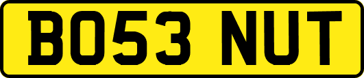 BO53NUT