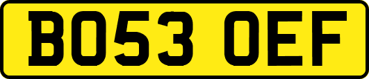 BO53OEF