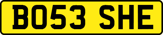 BO53SHE