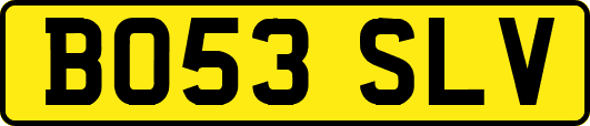 BO53SLV