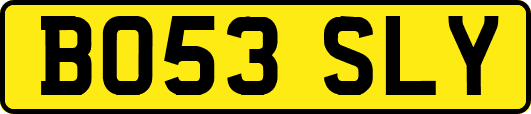 BO53SLY