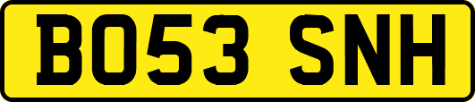 BO53SNH