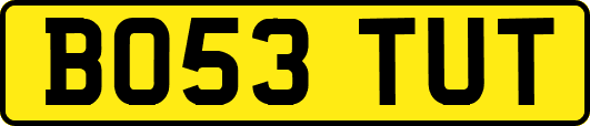 BO53TUT