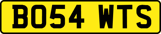 BO54WTS