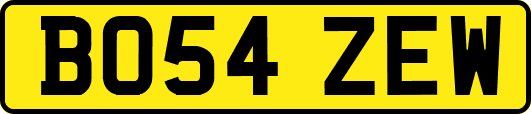 BO54ZEW