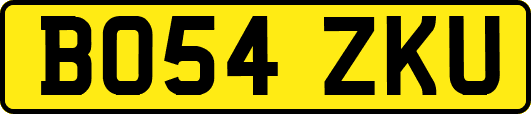BO54ZKU