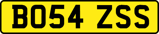 BO54ZSS