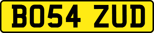 BO54ZUD