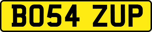 BO54ZUP