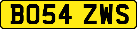 BO54ZWS