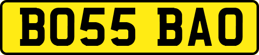 BO55BAO