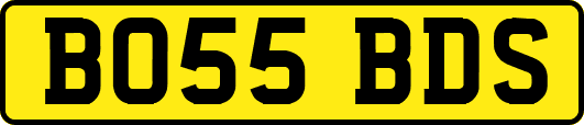 BO55BDS