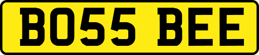 BO55BEE