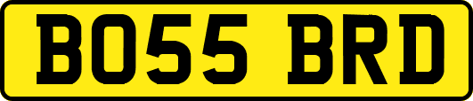 BO55BRD