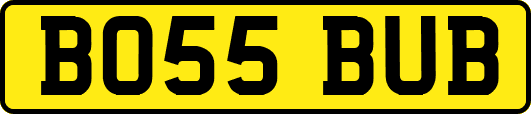 BO55BUB