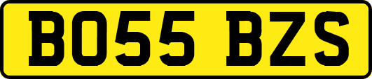 BO55BZS