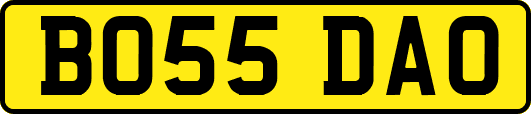 BO55DAO