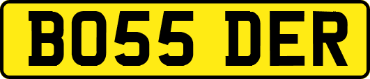 BO55DER