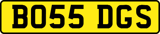 BO55DGS