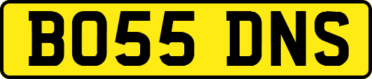 BO55DNS