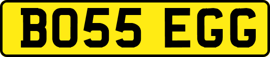 BO55EGG