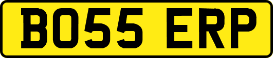BO55ERP