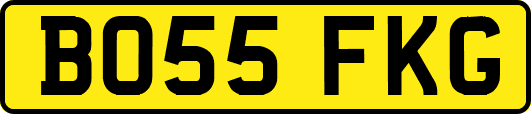 BO55FKG