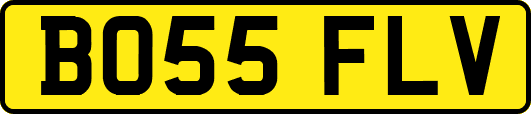 BO55FLV