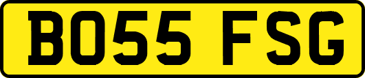 BO55FSG