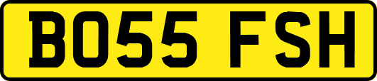 BO55FSH