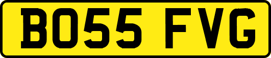 BO55FVG