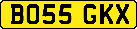 BO55GKX