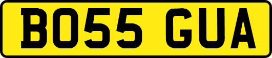 BO55GUA