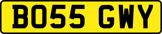 BO55GWY