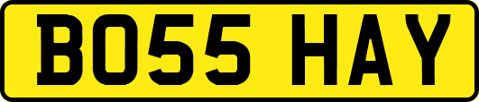 BO55HAY