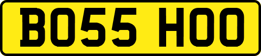 BO55HOO