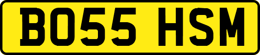 BO55HSM