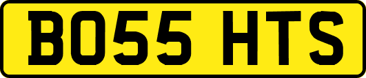 BO55HTS