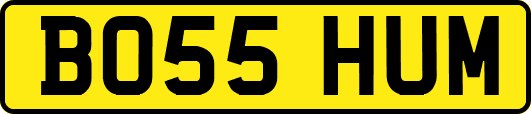 BO55HUM