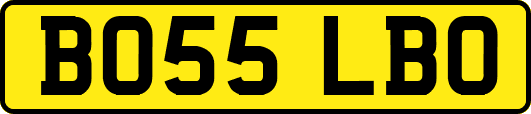 BO55LBO
