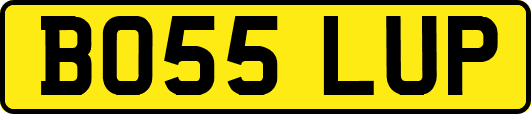 BO55LUP