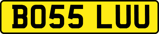BO55LUU