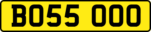 BO55OOO