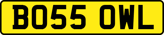 BO55OWL