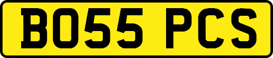 BO55PCS