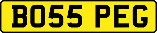 BO55PEG