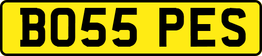 BO55PES