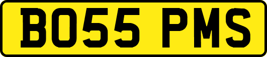 BO55PMS