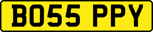 BO55PPY