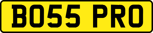 BO55PRO